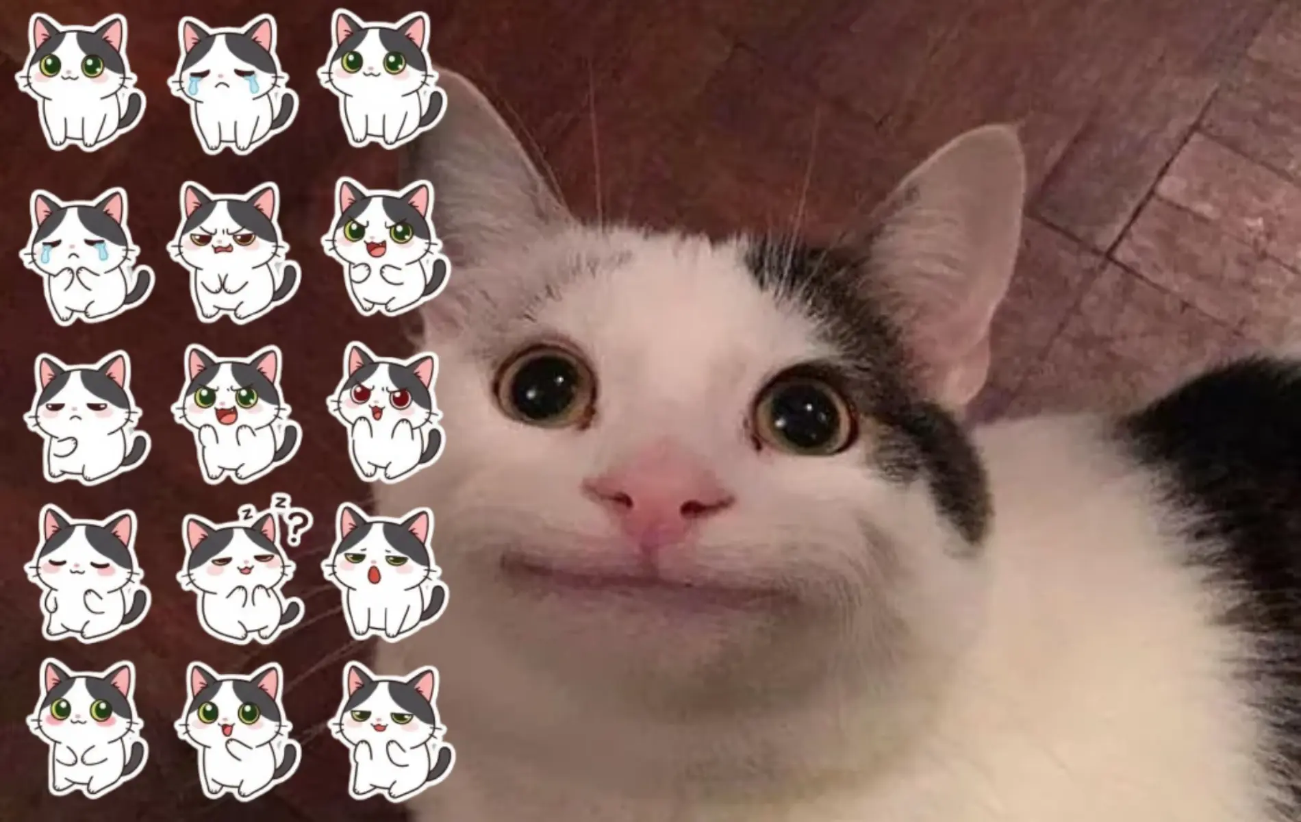 Funny sticker pack of cat stickers, derp cat sticker